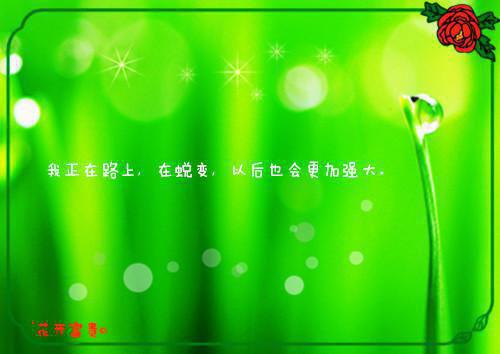 迟来的深情盛意 慕淮安盛年小说