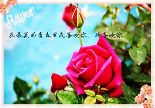 鱼幼薇叶辰纪博达免费阅读第5章 鱼幼薇叶辰纪博达大结局