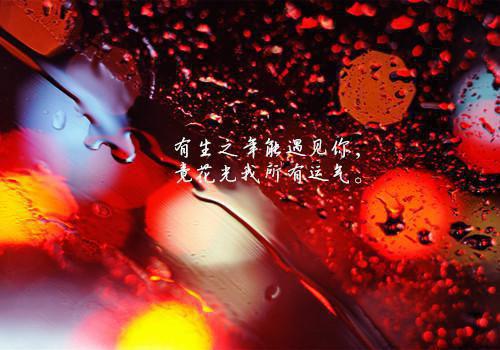 盛思雨孟青洲小说免费阅读最新 风月不知情深完整版