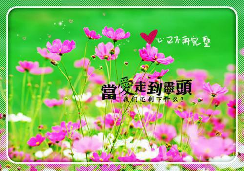 徐景清林屿小说-《林屿徐景清》完整章节阅读无弹窗免费阅读大结局