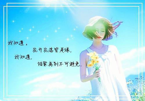 (抖音小说)许择欢顾泽然许未晴小说全文阅读免费