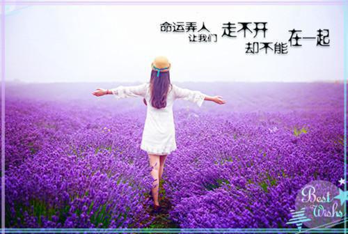 周雨薇严以律小说名 恶俗婚恋佚名在线阅读