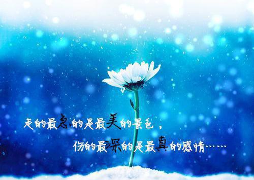 楚星尘李应灵全文最新章节正版小说免费阅读