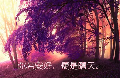 许锦夜魏良辰小说全文 许锦夜魏良辰小说免费阅读大结局