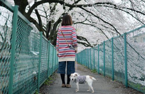 温芙靳言完整版 温芙靳言小说全文在线阅读
