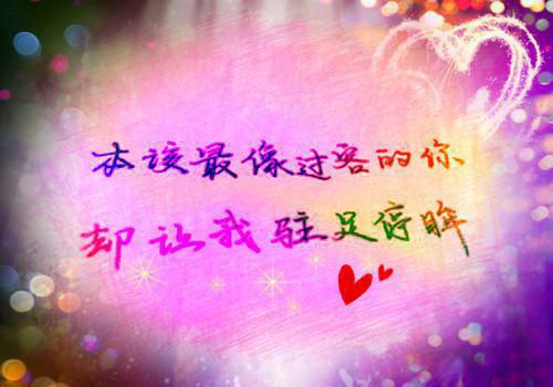 李志免费小说 李志在线阅读