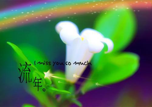 刘志浩靳红霞小说名字 官道之龙争虎斗章节试读