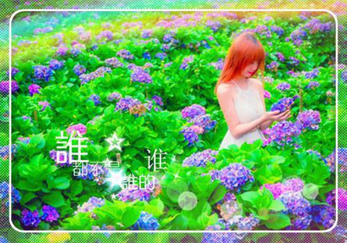 张扬柳如烟辛妍是什么小说 张扬柳如烟辛妍全本免费阅读