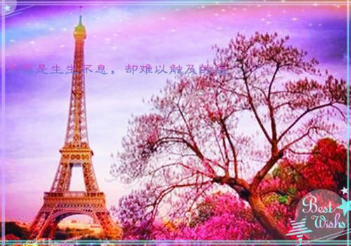 消逝的爱意纪晓姗秦天洋宋莉莉无广告小说免费阅读
