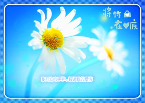 江飞宇陈薇薇沈澜西小说 江飞宇陈薇薇沈澜西免费章节阅读