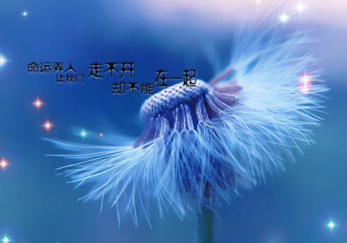 姜天栩巫灿（姜天栩巫灿）全文免费阅读无弹窗大结局_姜天栩巫灿最新章节列表
