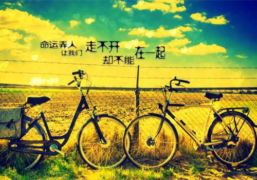 重生七零团长追妻路迢迢宋知慧沈君桦by宋知慧