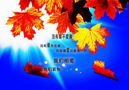 沈同舟傅庭兰是什么小说 沈同舟傅庭兰全本免费阅读
