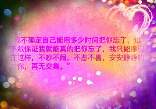 陈宸苏星悦小说名字免费 拳击手先生，轻点宠章节阅读