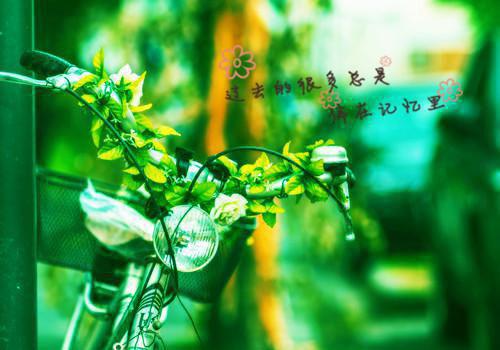 主角安安赵希希小说 安安赵希希小说全文免费阅读