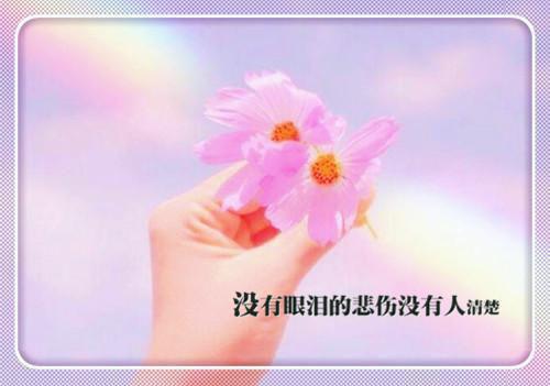 怒把婆婆赶出家门在线阅读王国福可欣无广告免费看