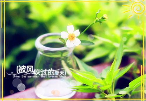主角严欣彤李嘉茂小说免费阅读最新章节