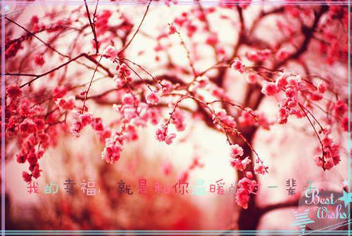 张谦黎里章节目录 尸养子，送阴命小说免费阅读无弹窗