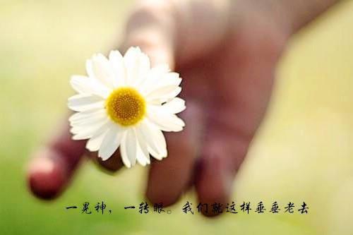 五年前甩掉的前男友是我偶像周楚淮许卿by折冬痕