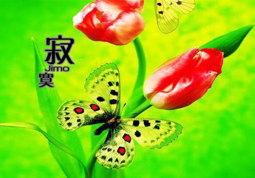 豪门假千金，靠玄学暴富怎么了（万里江风）全文浏览_豪门假千金，靠玄学暴富怎么了全文浏览