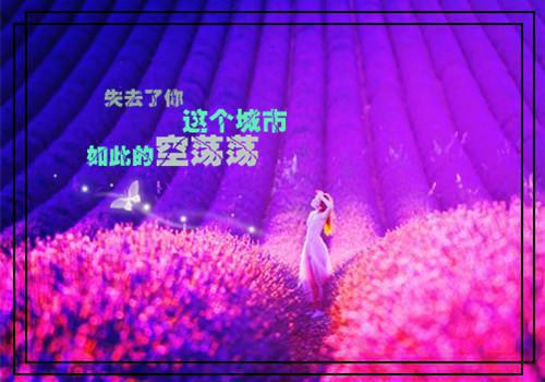 完结文黎书禾周景榆最新章节列表_完结文黎书禾周景榆全文免费阅读（那张,周景榆,回事）