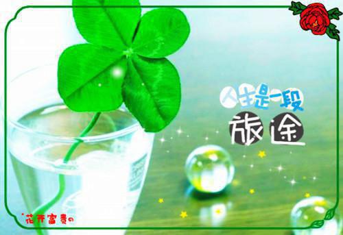 苏蕴然谢琰白小说最新章节 苏蕴然谢琰白免费阅读