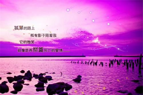 主角是向阳的小说免费阅读全文大结局