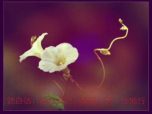《和出轨男友分手后他却后悔疯了》大结局精彩阅读 《和出轨男友分手后他却后悔疯了》最新章节目录