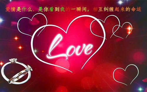 综艺上，我专戳主角团的肺管子 主角鱼慕慕苏豫吴悦莞小说