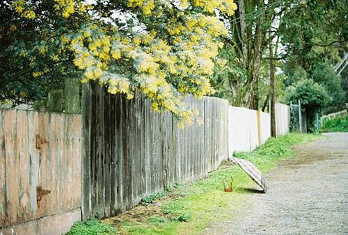 江梓媛程宴闵免费阅读目录 江梓媛程宴闵小说全文