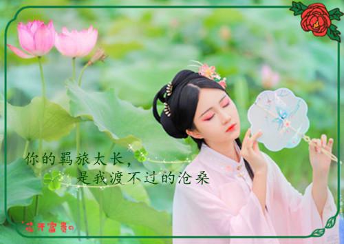 叶乐星秦雪小说免费试读 叶乐星秦雪第03章