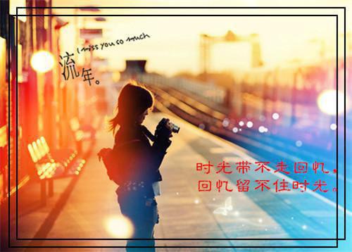 陈三皮陈海林免费小说 陈三皮陈海林在线阅读