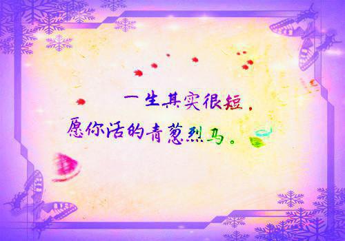 林星漪陈阳免费阅读第8章 林星漪陈阳大结局