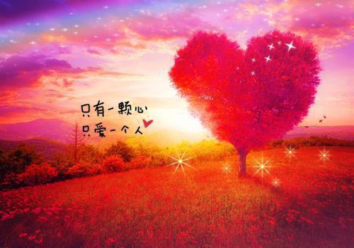 吞噬九重天许辰秦清柔最新章节在线阅读