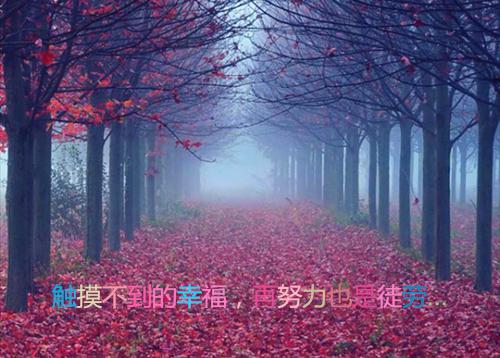 宁雨白莹莹的小说 当个妾室，这妇德一天都守不住！小说免费阅读