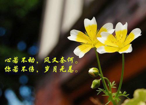 叶晓晓慕容泽全文阅读最新 叶晓晓慕容泽小说目录
