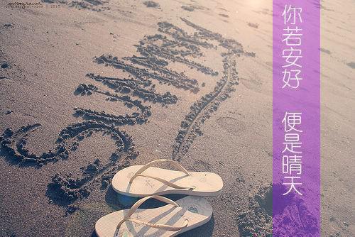 掌上娇娇：冷戾九千岁被撩折腰谢宁姝谢迟全文免费阅读(已完结)