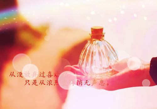 安瑶安龙小说在哪里看 安瑶安龙在线阅读第3章