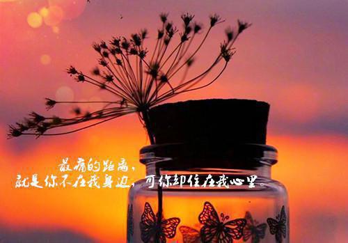 简默言温庭琛免费阅读（温庭琛简默言）完整版全文全章节阅读