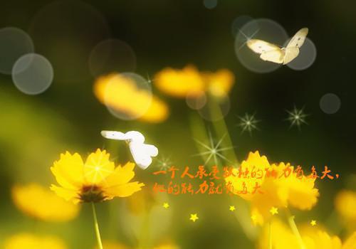 乔楠裴瑾川小说章节目录 乔楠裴瑾川免费阅读第1章