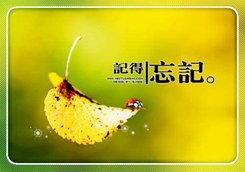 夏星惠陶柏知全文阅读 夏星惠陶柏知小说最新章节