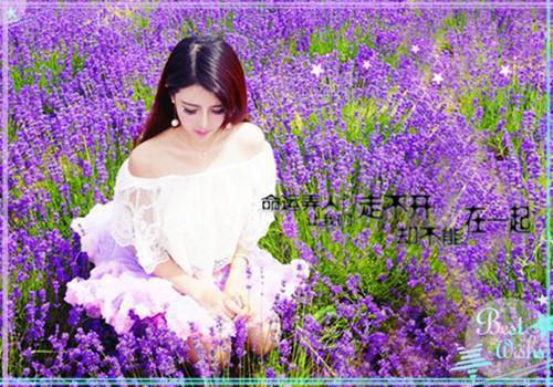 苏倩倩陆峰小说名字 苏倩倩陆峰全文免费阅读