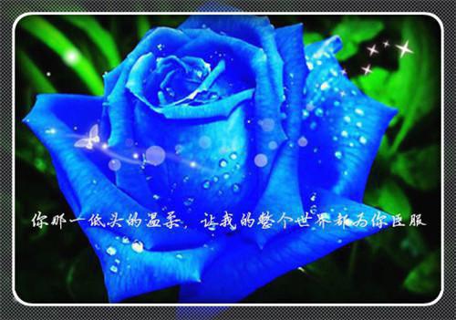 意外捡到的小孩居然是霸总&ldquo;我的存款都给你，你不要有别人。&rdquo;在线阅读 沈俊沈承齐辉小说