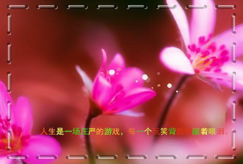 反骨倩影在线阅读无弹窗 反骨倩影未删节小说
