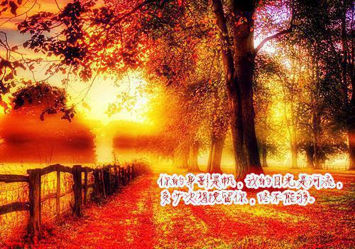 (最新)江瑶江清月周嘉文傅临小说完整版免费阅读