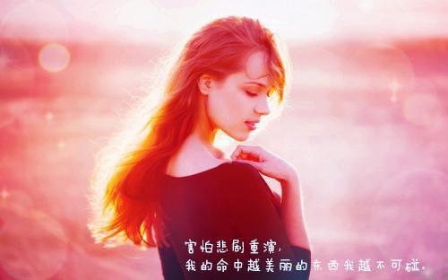 法海无边小说全集 金蝉子孙悟空大结局在线阅读