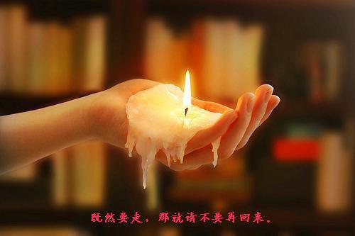 我套路了男神宋软顾念完结小说全文在线阅读