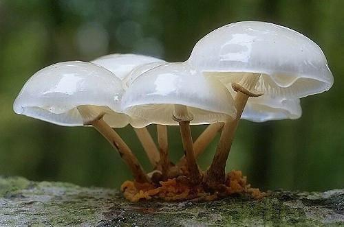 顾念雨罗奚庭的小说 顾念雨罗奚庭全文免费阅读