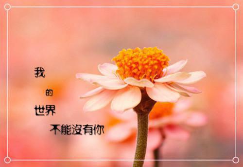 江予欢程靳时小说 江予欢程靳时全文免费阅读