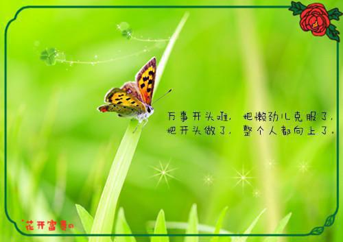 全家听见我心声后，把我带飞洛星瑶锦书免费章节在线阅读